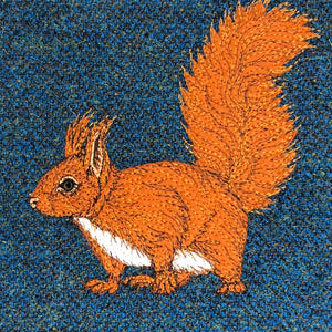 Red squirrel project bag